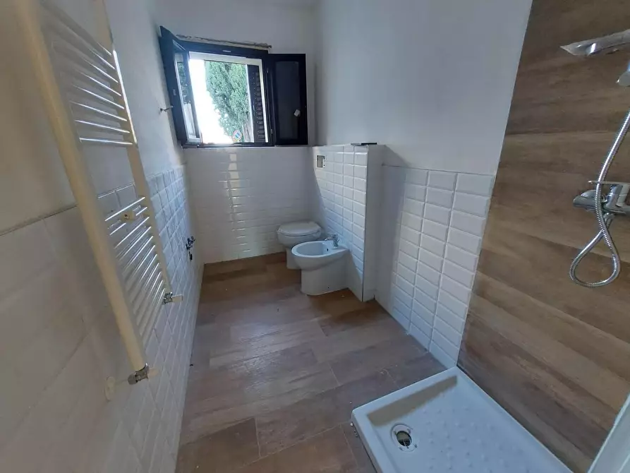 Immagine 10 di Appartamento in vendita  a Pontedera