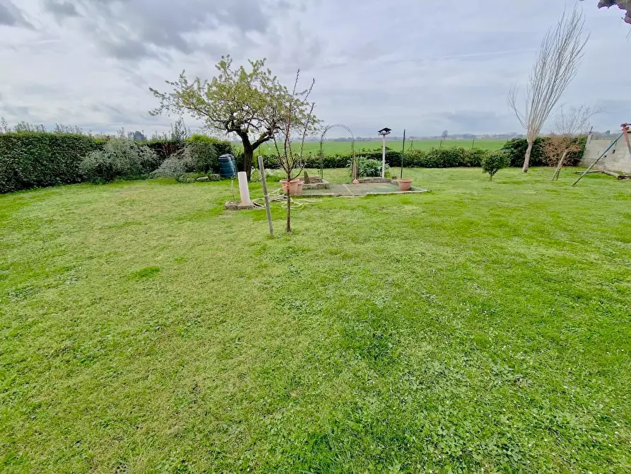 Immagine 27 di Villa in vendita  a San Giuliano Terme