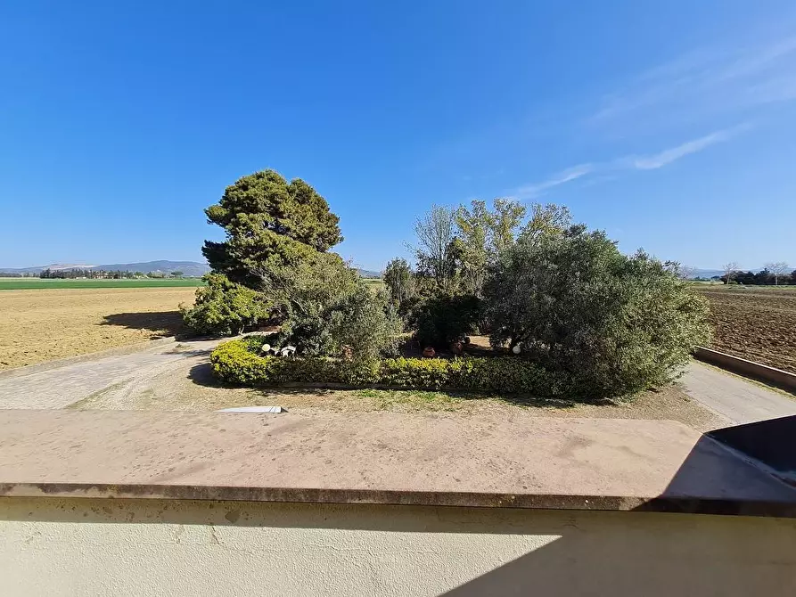 Immagine 43 di Casa bifamiliare in vendita  a Piombino