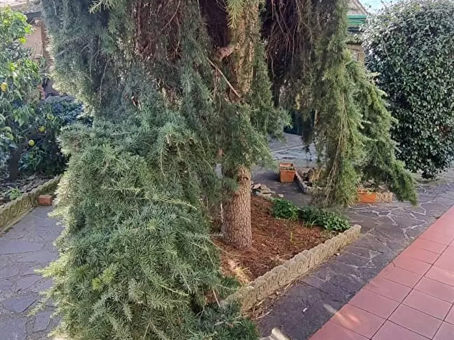 Immagine 41 di Villa in vendita  a San Giuliano Terme