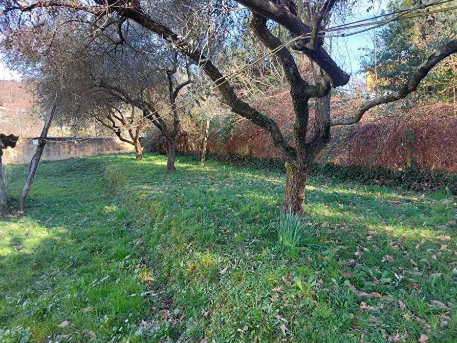 Immagine 35 di Villa in vendita  a Castelnuovo Magra