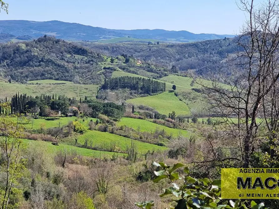 Immagine 1 di Casa colonica in vendita  a Palaia