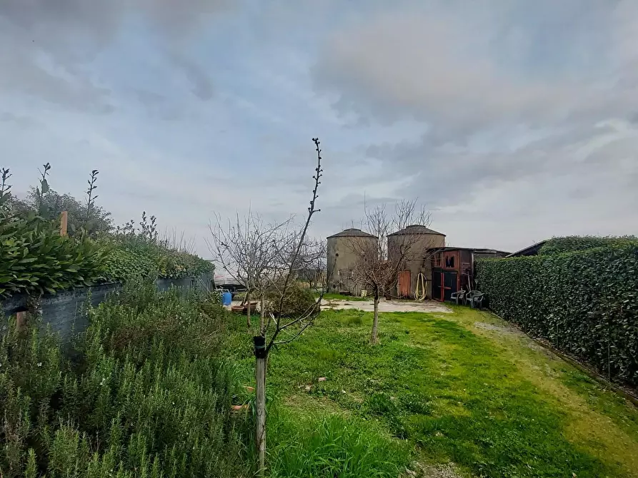 Immagine 26 di Appartamento in vendita  a Casciana Terme Lari