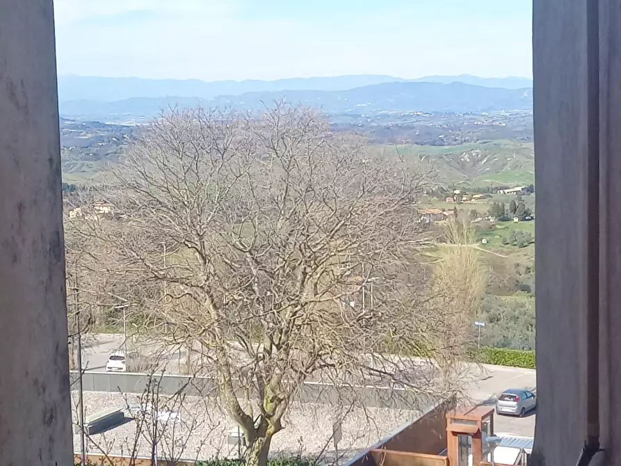 Immagine 9 di Appartamento in vendita  a Montaione