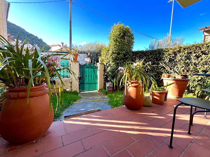 Immagine 2 di Casa bifamiliare in vendita  a Montignoso