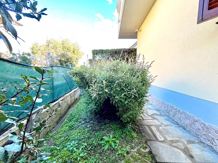 Immagine 3 di Casa bifamiliare in vendita  a Montignoso