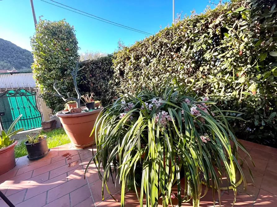 Immagine 4 di Casa bifamiliare in vendita  a Montignoso