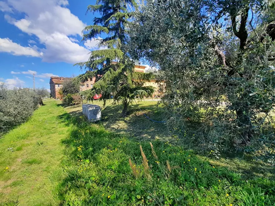 Immagine 1 di Rustico / casale in vendita  a Montecarlo