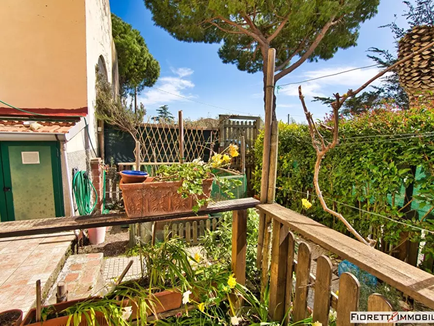 Immagine 35 di Appartamento in vendita  a Piombino