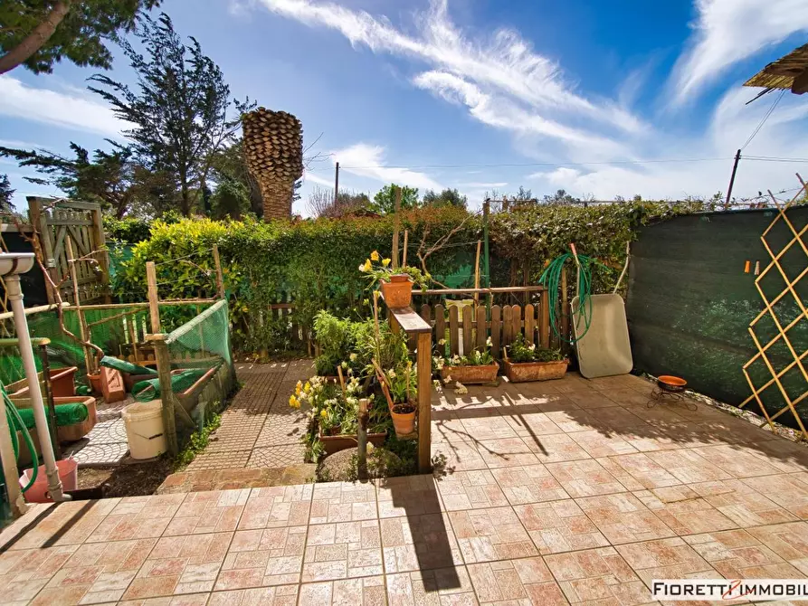 Immagine 33 di Appartamento in vendita  a Piombino