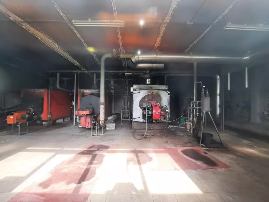 Immagine 10 di Terreno agricolo in vendita  a Cerreto Guidi