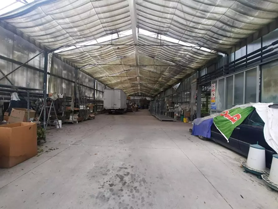 Immagine 8 di Terreno agricolo in vendita  a Cerreto Guidi