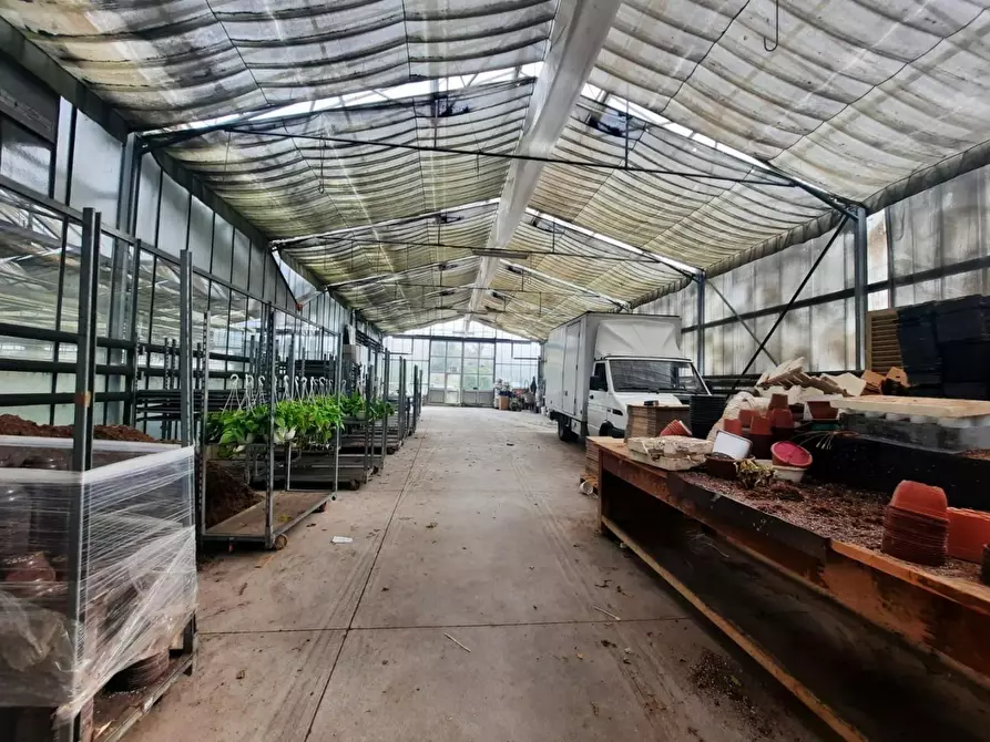 Immagine 6 di Terreno agricolo in vendita  a Cerreto Guidi