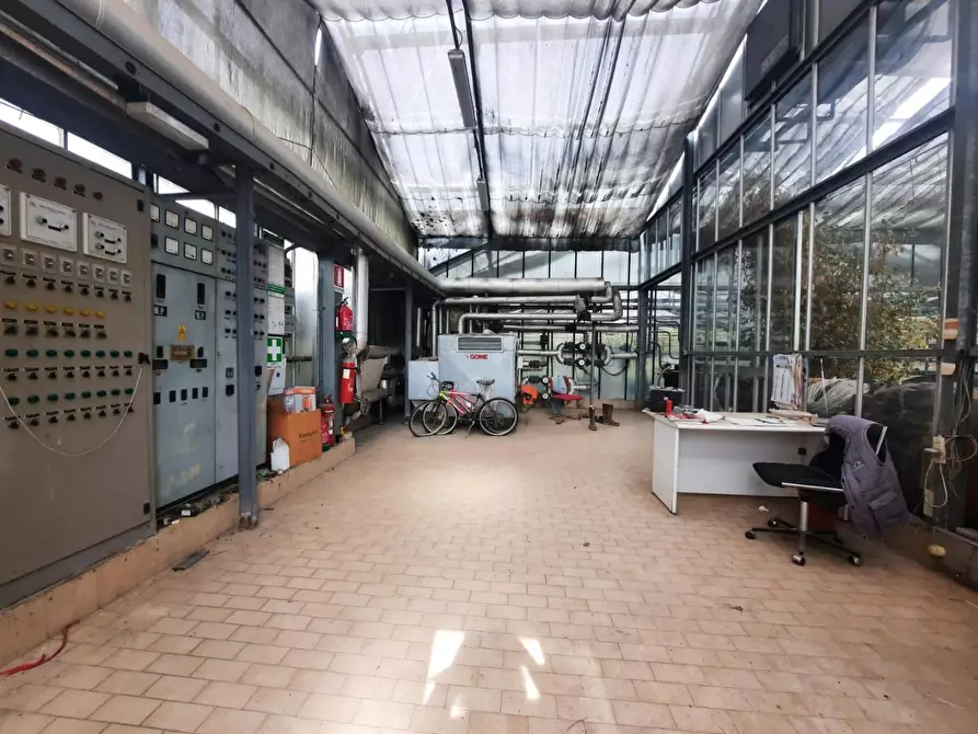 Immagine 9 di Terreno agricolo in vendita  a Cerreto Guidi