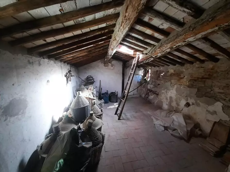 Immagine 11 di Terratetto in vendita  a Montecarlo