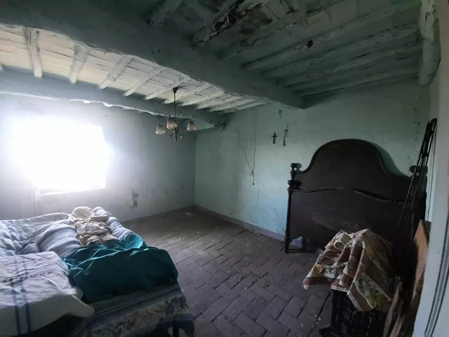 Immagine 7 di Terratetto in vendita  a Montecarlo