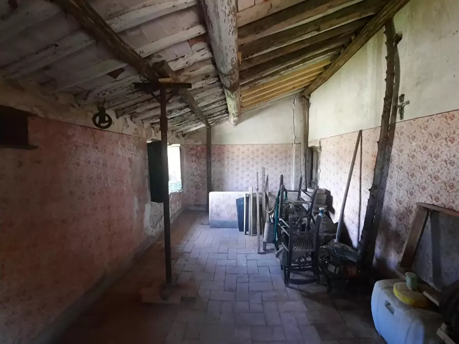 Immagine 6 di Terratetto in vendita  a Montecarlo