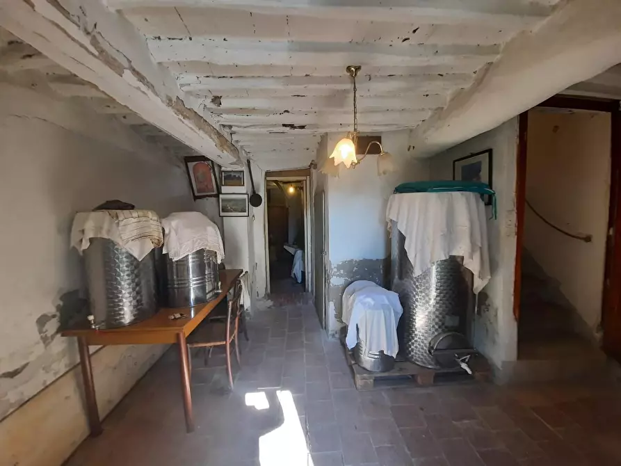 Immagine 4 di Terratetto in vendita  a Montecarlo