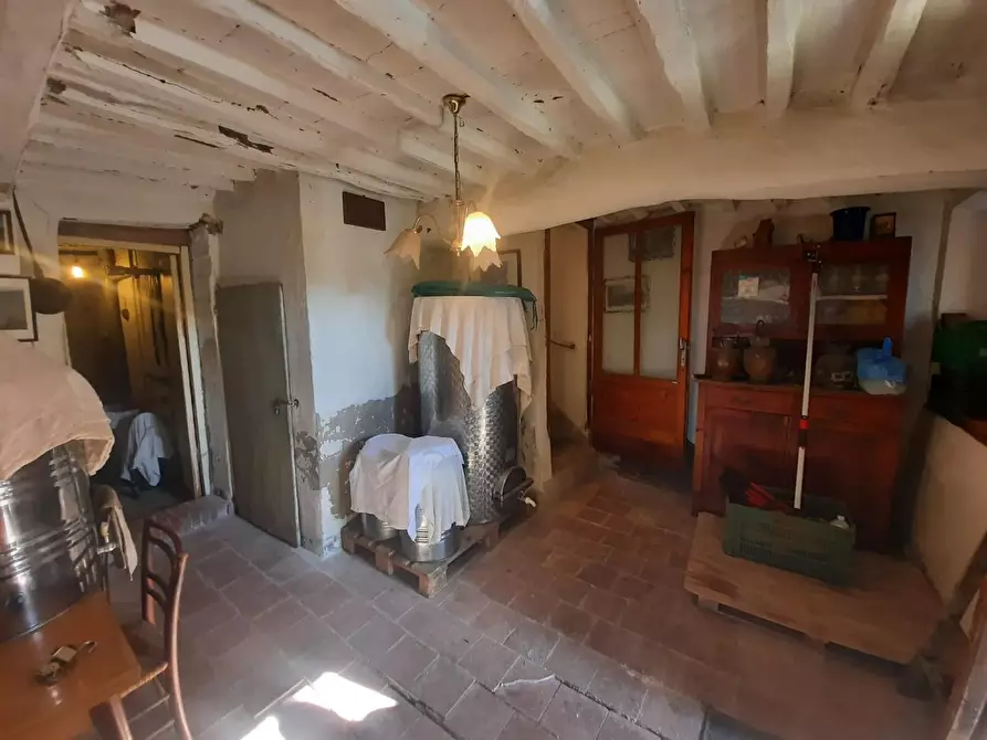 Immagine 9 di Terratetto in vendita  a Montecarlo