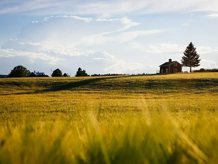 Immagine 1 di Terreno agricolo in vendita  a Cerreto Guidi