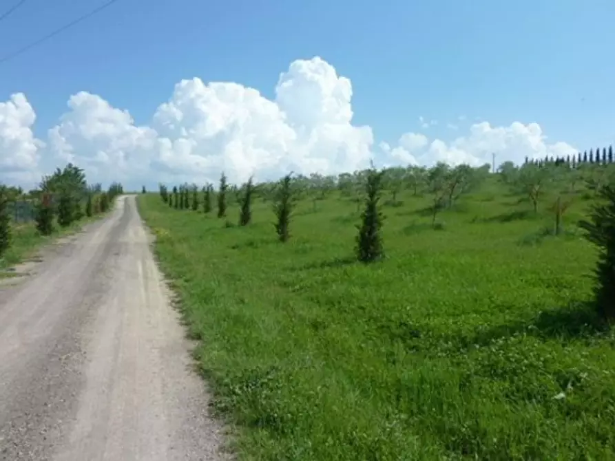 Immagine 7 di Appartamento in vendita  a Siena