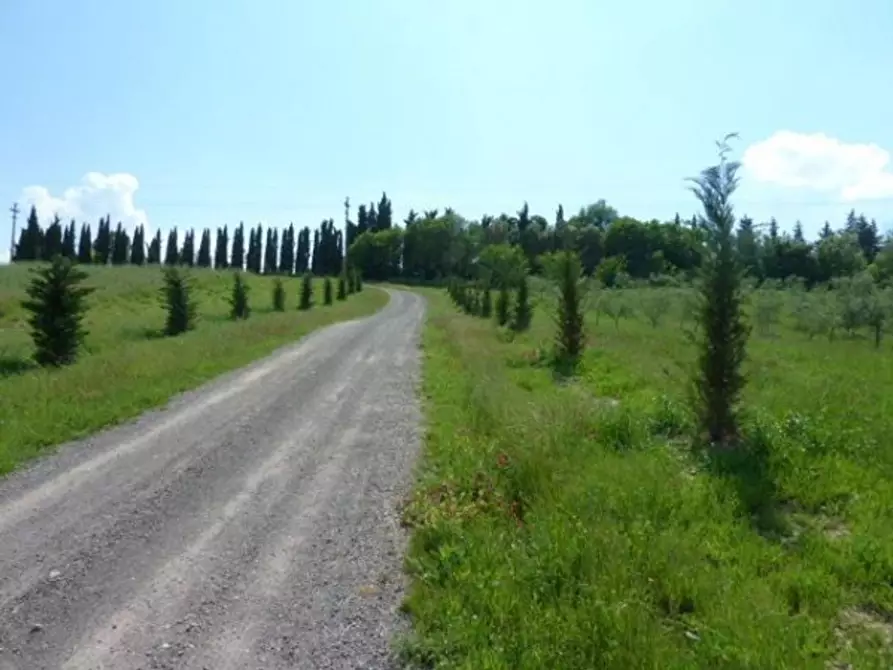 Immagine 6 di Appartamento in vendita  a Siena