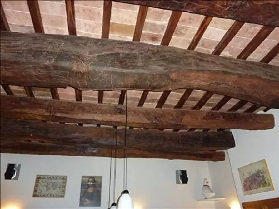 Immagine 7 di Villa in vendita  a Sovicille