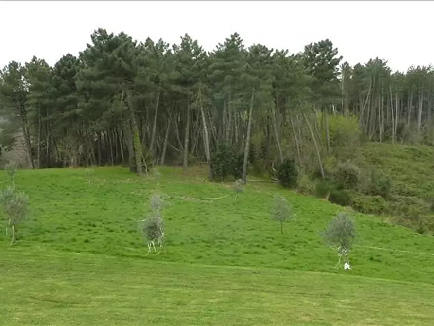 Immagine 21 di Appartamento in vendita  a Castelnuovo Berardenga