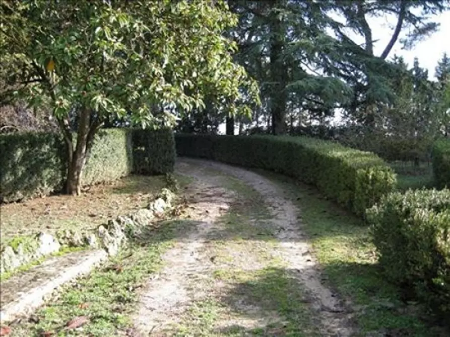 Immagine 2 di Appartamento in vendita  a Siena