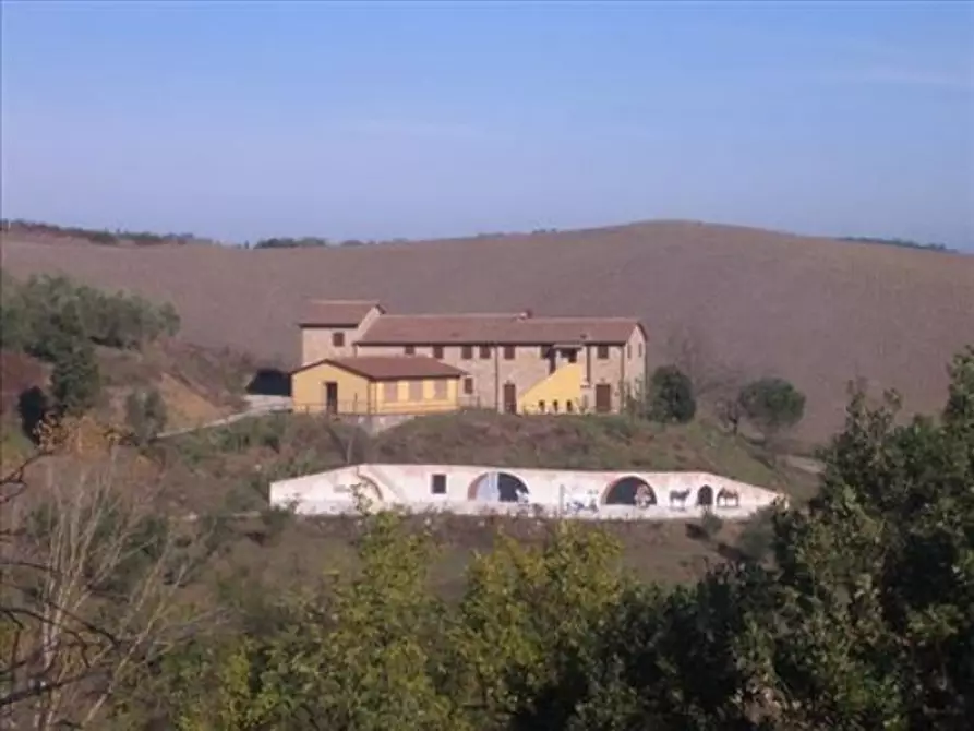 Immagine 2 di Locale commerciale in vendita  a Montaione