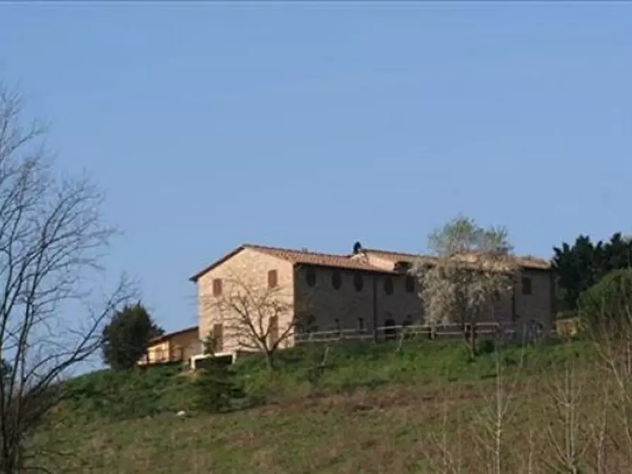 Immagine 4 di Locale commerciale in vendita  a Montaione