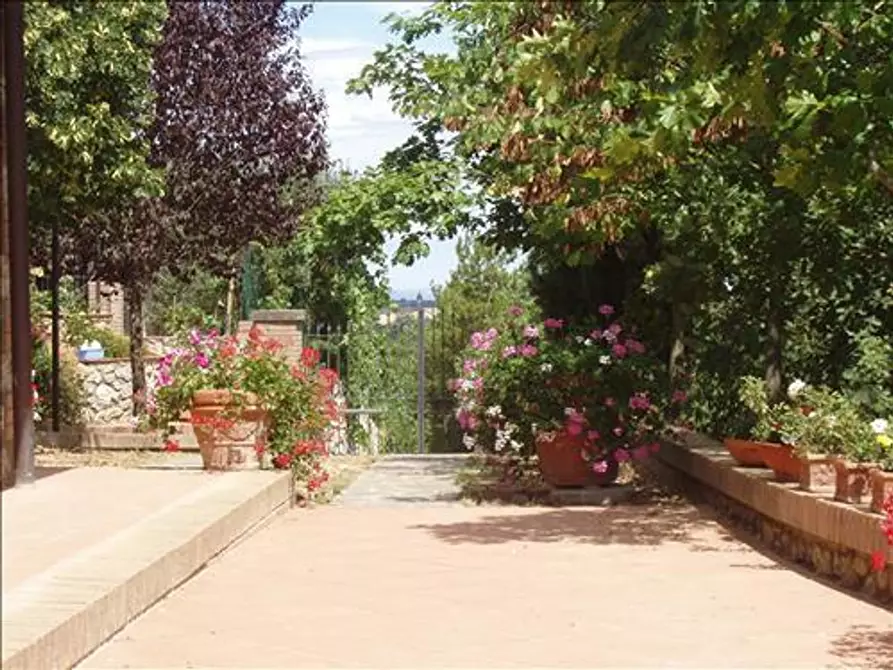 Immagine 4 di Appartamento in vendita  a Monteriggioni