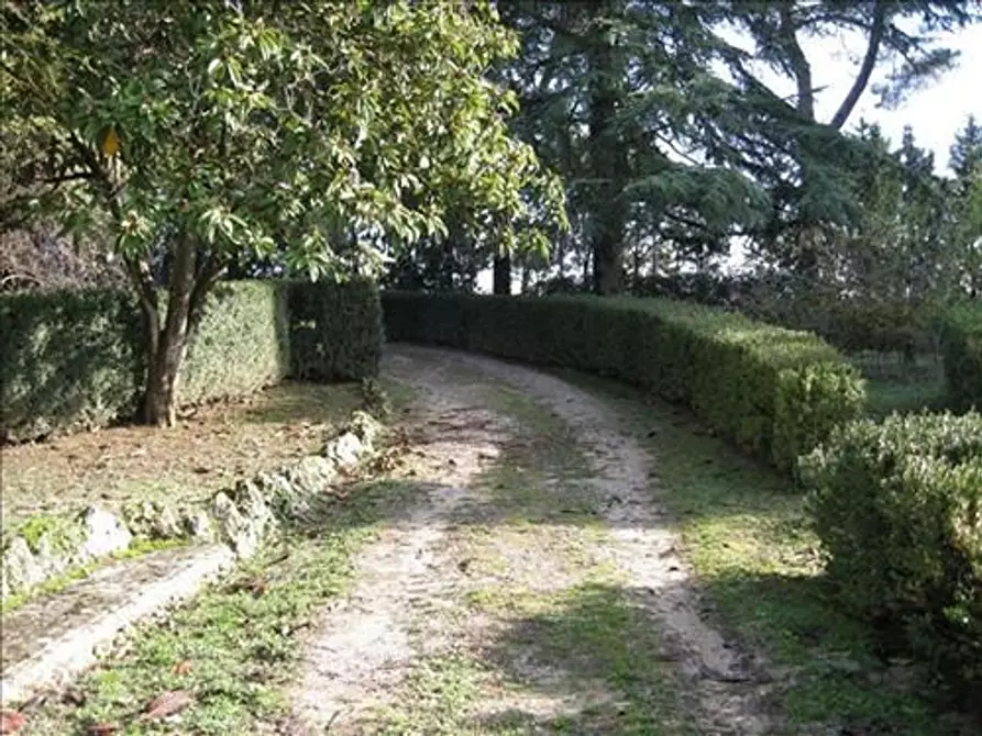 Immagine 2 di Locale commerciale in vendita  a Siena