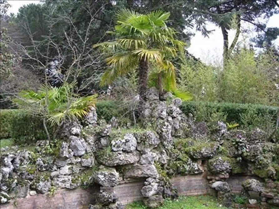 Immagine 4 di Locale commerciale in vendita  a Siena