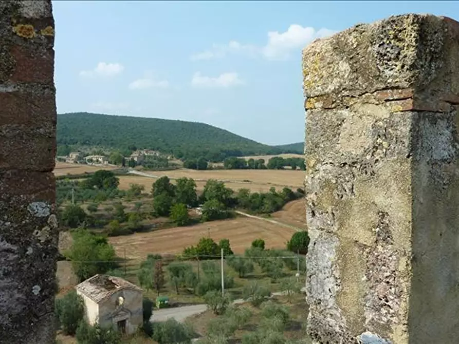 Immagine 19 di Appartamento in vendita  a Siena