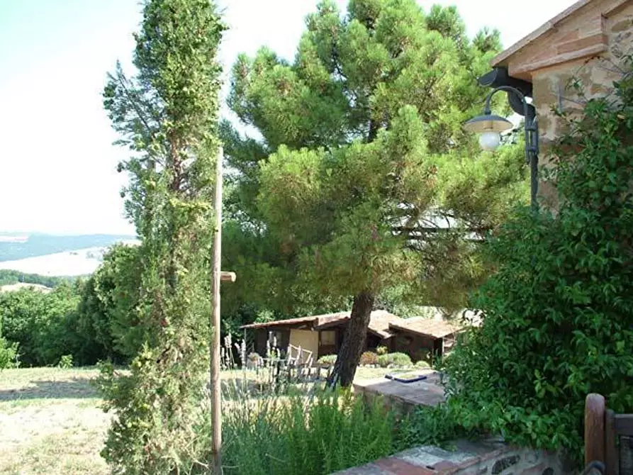 Immagine 19 di Appartamento in vendita  a Casole D'elsa