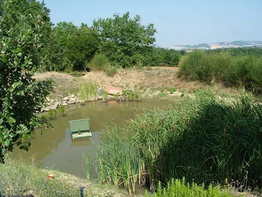 Immagine 18 di Appartamento in vendita  a Casole D'elsa