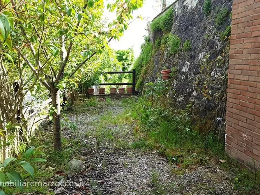 Immagine 3 di Terratetto in vendita  a Sovicille