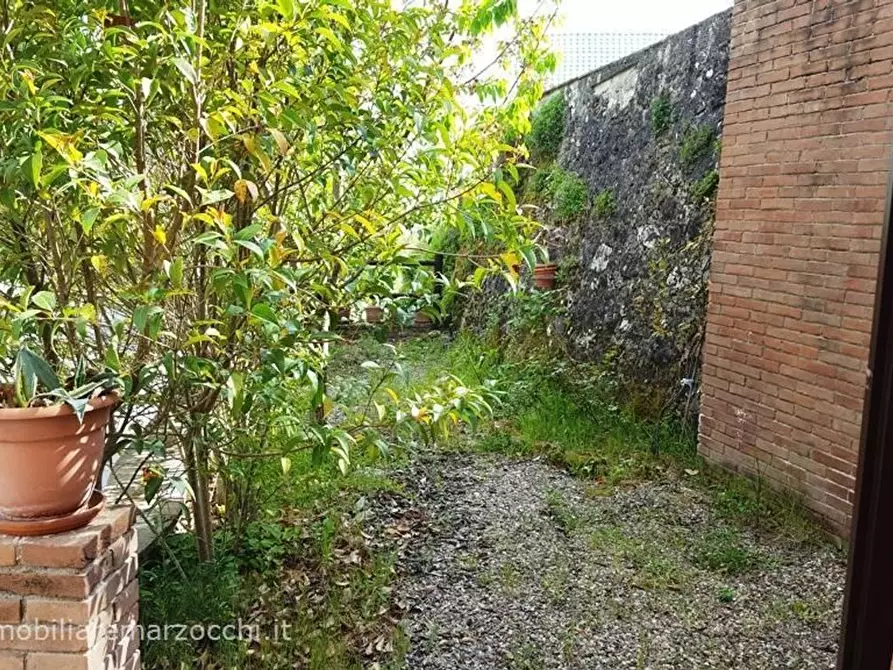 Immagine 19 di Terratetto in vendita  a Sovicille