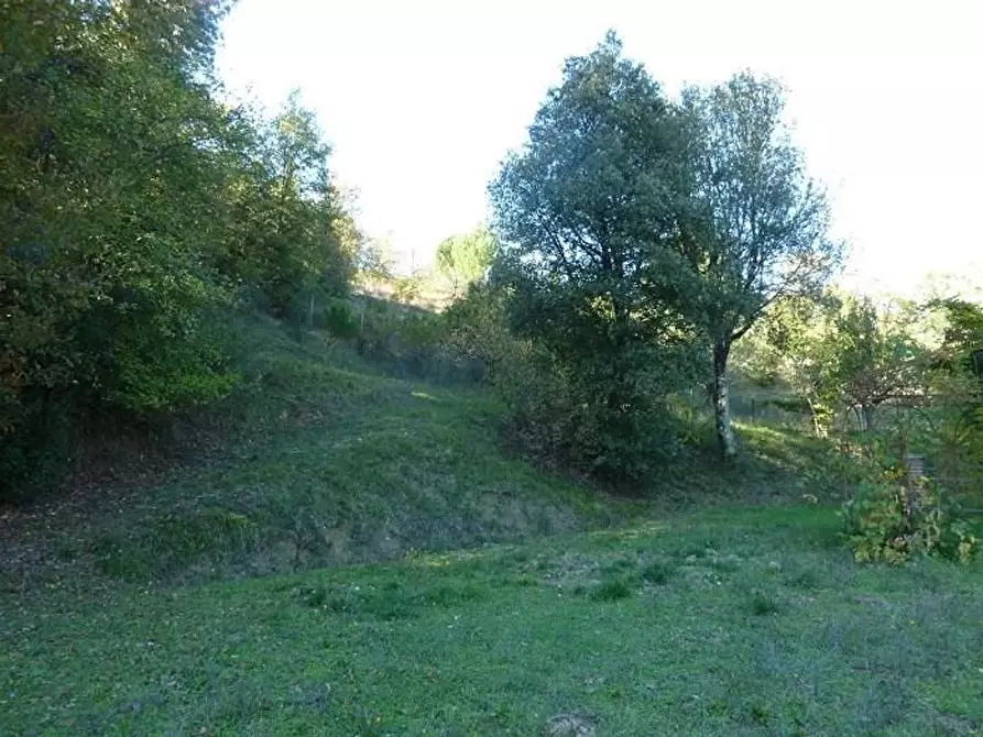 Immagine 7 di Appartamento in vendita  a Murlo