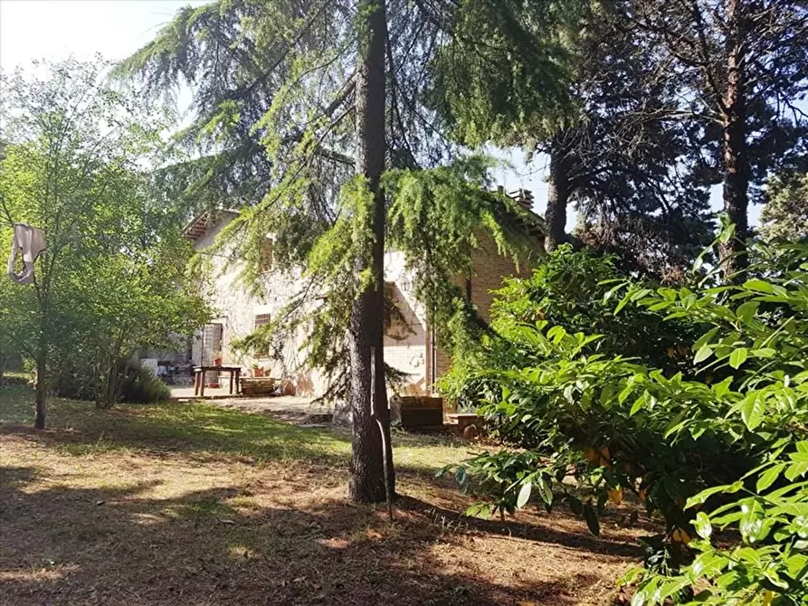 Immagine 2 di Appartamento in vendita  a Monteriggioni