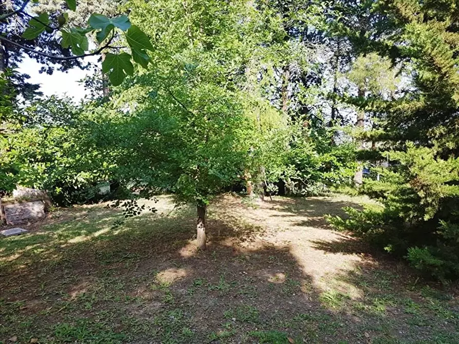 Immagine 3 di Appartamento in vendita  a Monteriggioni