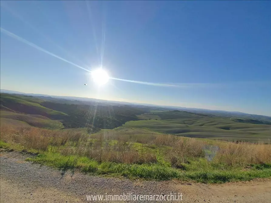 Immagine 2 di Rustico / casale in vendita  a Asciano