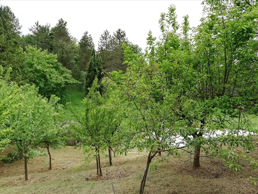 Immagine 15 di Villa in vendita  a Sovicille