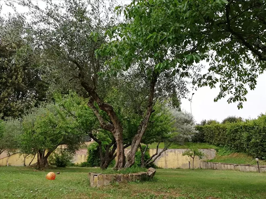 Immagine 17 di Villa in vendita  a Sovicille