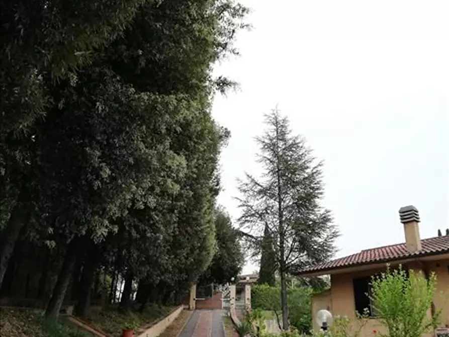 Immagine 6 di Villa in vendita  a Sovicille