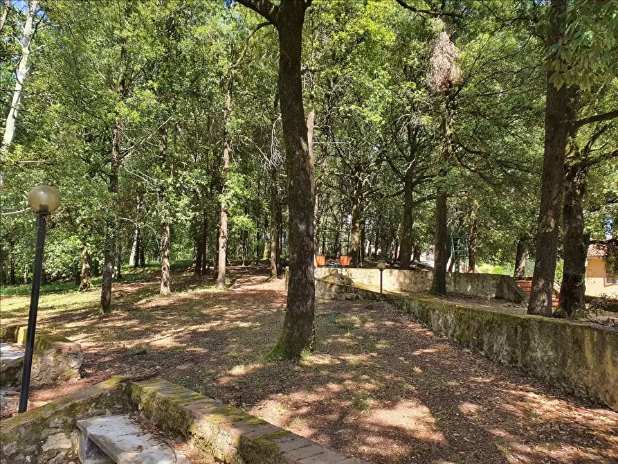 Immagine 4 di Villa in vendita  a Sovicille