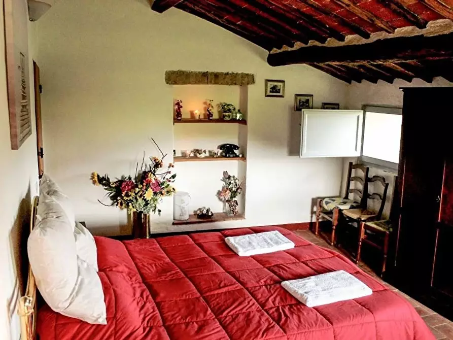 Immagine 12 di Villa in vendita  a Sovicille