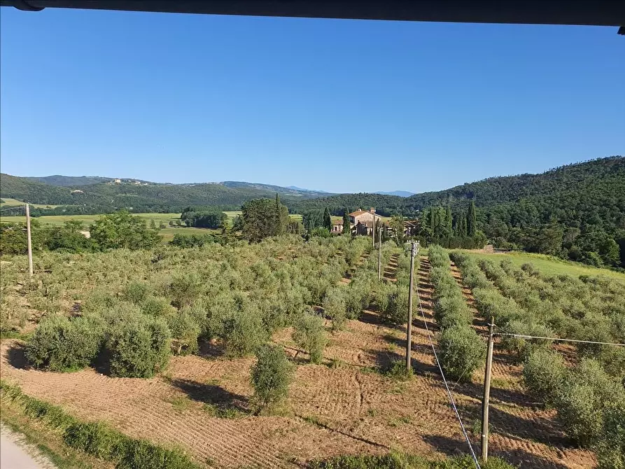 Immagine 19 di Villa in vendita  a Sovicille