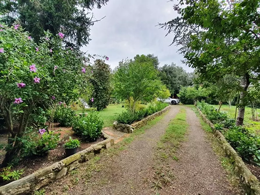 Immagine 25 di Villa in vendita  a Murlo